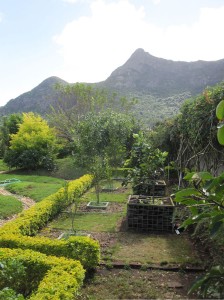 Landscaping 613_04